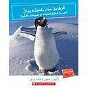 البطريق سباح لا يصيبه بلل