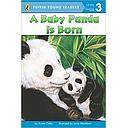 A BABY PANDA IS BORN LEVEL 3