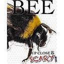 Up Close & Scary Bee