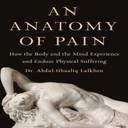 An Anatomy Of Pain