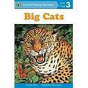 BIG CATS LEVEL 3