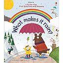 First Questions and Answers: What makes it rain?