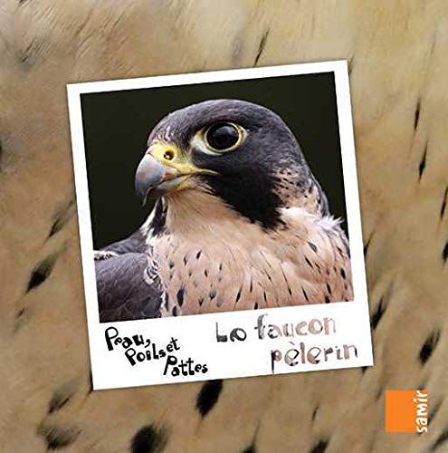 Le Faucon Pelerin
