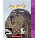 Mal-Beavers And Other Animals With Amazing Teeth (Me)