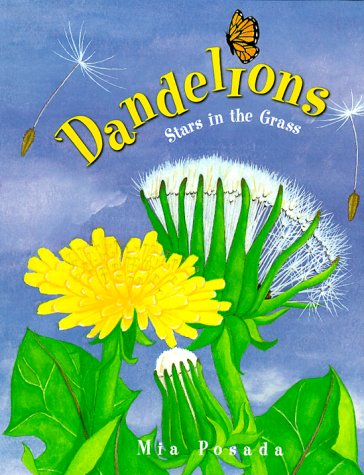 Stars In The Grass