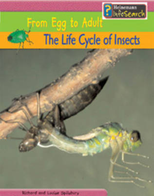 The Life Cycle of Insects