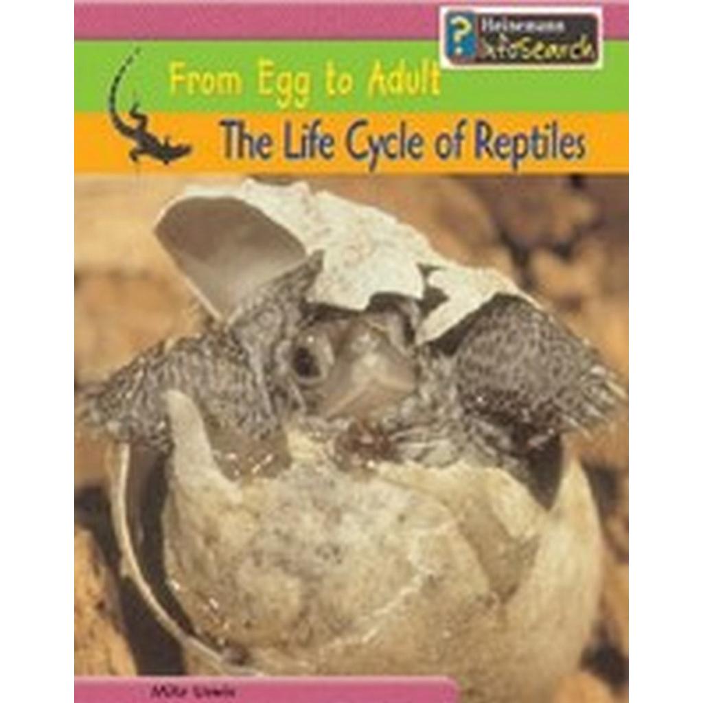 The Life Cycle of Reptiles