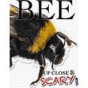 Up Close & Scary Bee