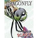 Up Close & Scary Dragonfly