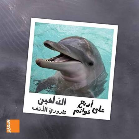 الدلفين قاروريّ الأنف