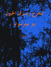 لنخرج ونسرق الخيول