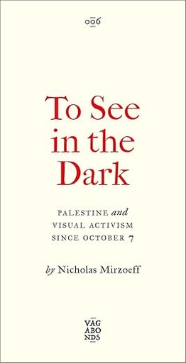 To See in the Dark: Palestine and Visual Activism since October 7